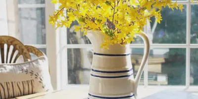 /img/11156-yellow-bee-kitchen-storage.webp