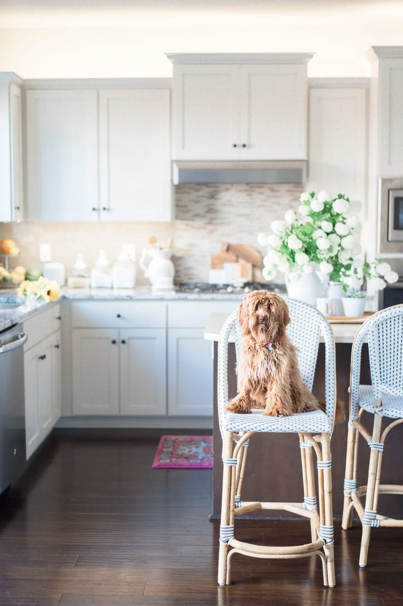 11203 modern farmhouse kitchen lighting