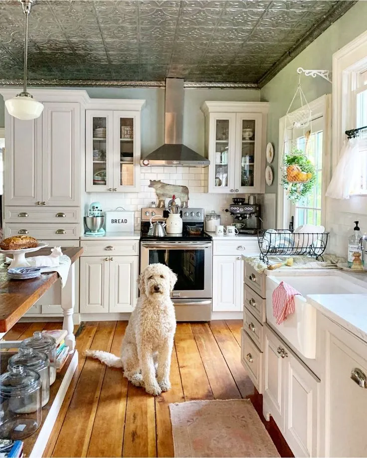 11227 dedicated dog zone