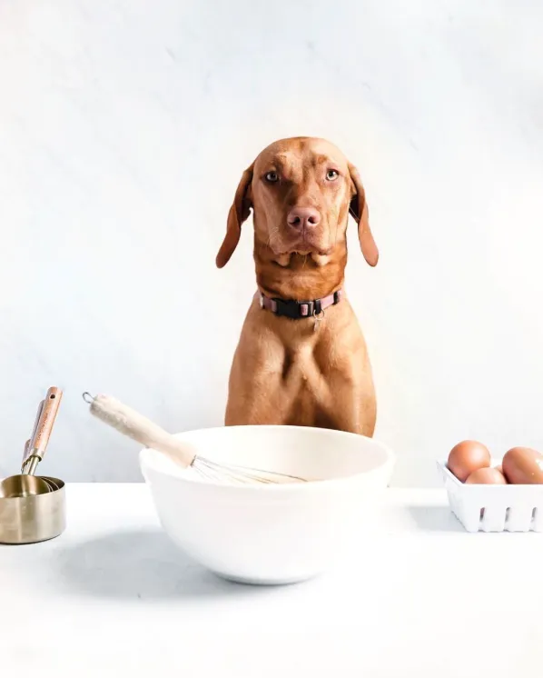 11227 stylish storage solutions