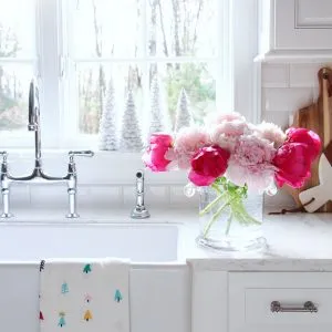 11230 christmas kitchen decor theme