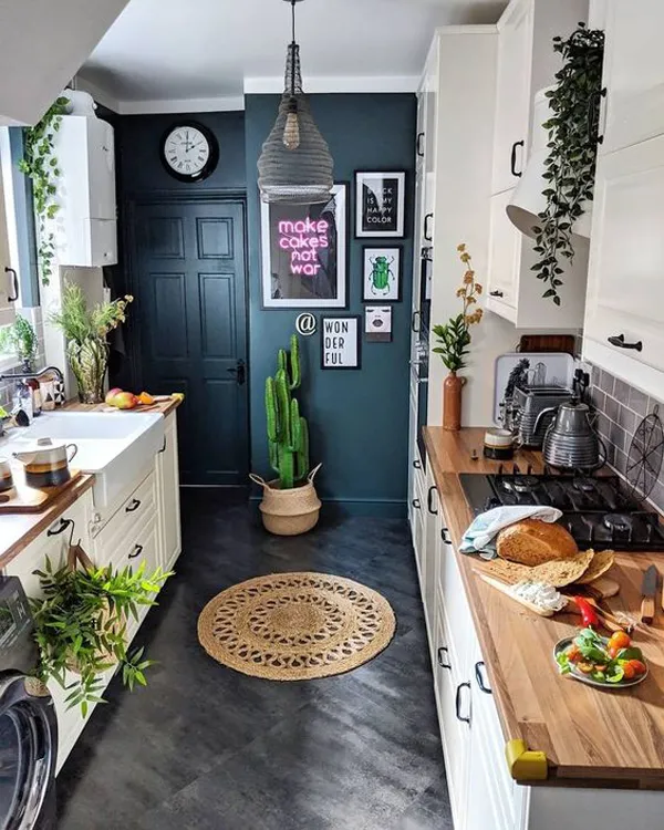 11277 kitchen with plants