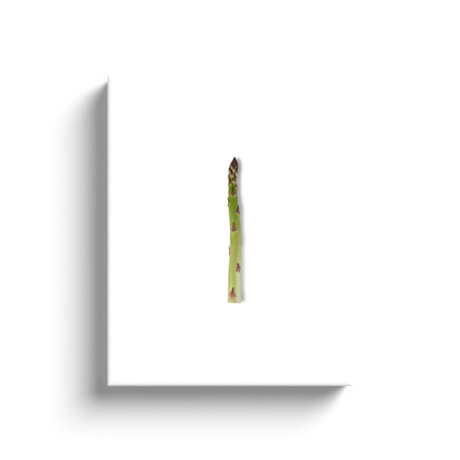 11284 asparagus green accessories