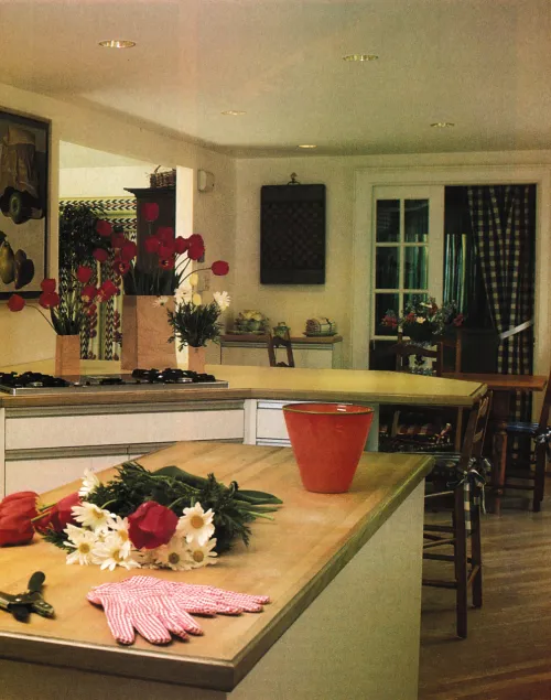 11305 80s kitchen appliances